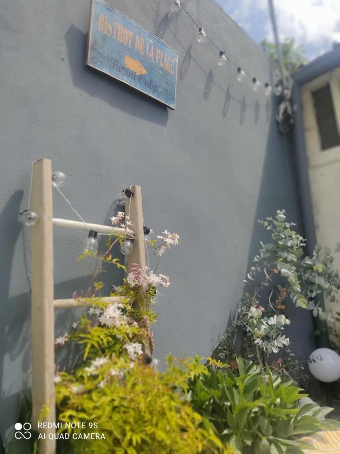 Le Cocon Des Hortillonnages D'Amiens Camon  Exterior foto