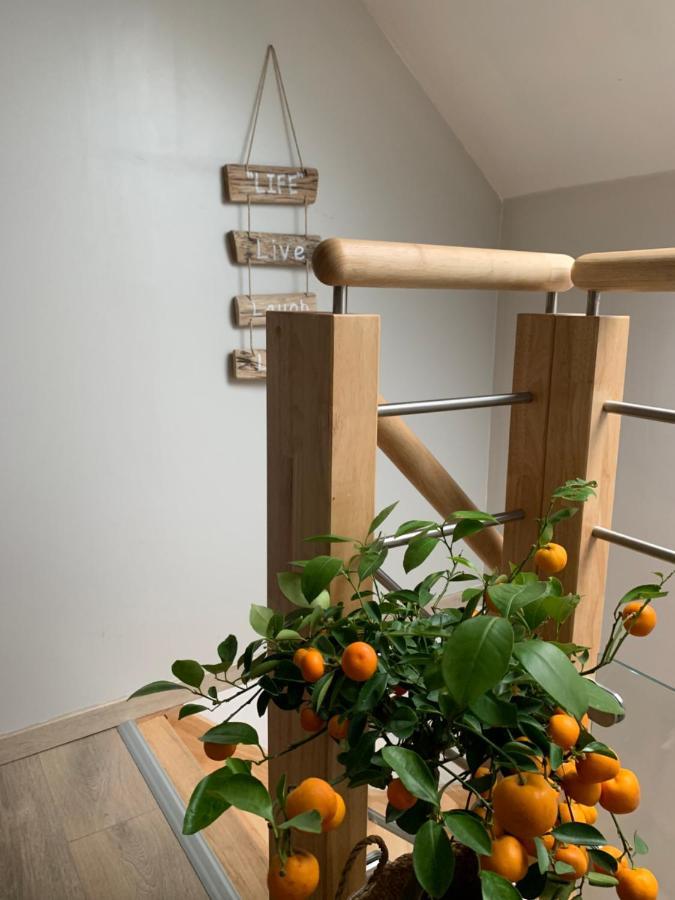 Le Cocon Des Hortillonnages D'Amiens Camon  Exterior foto