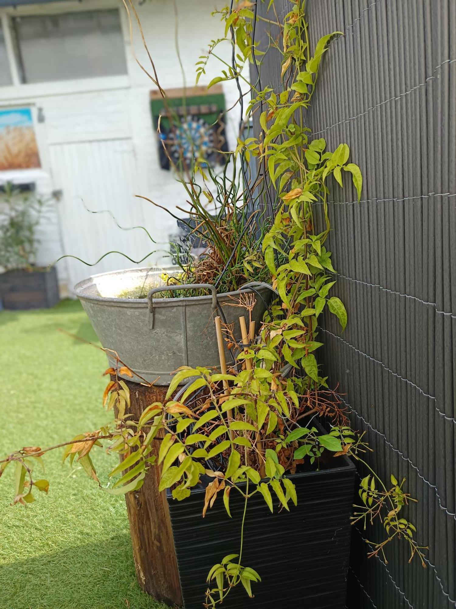 Le Cocon Des Hortillonnages D'Amiens Camon  Exterior foto